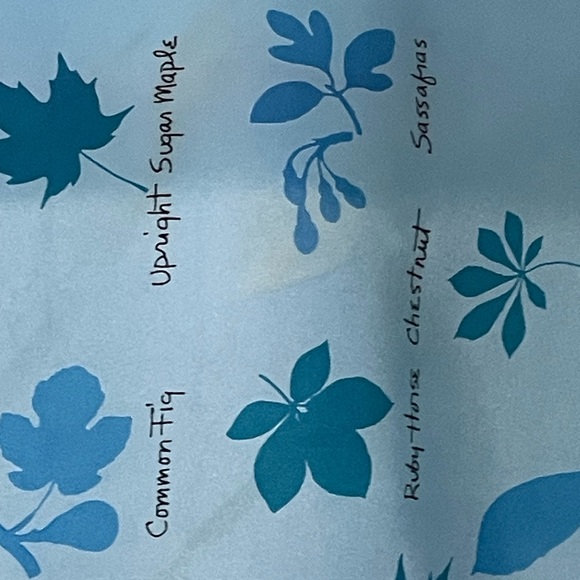 Vintage Vera Blues Scarf 22 In Sq Good Condition - Picture 9 of 10